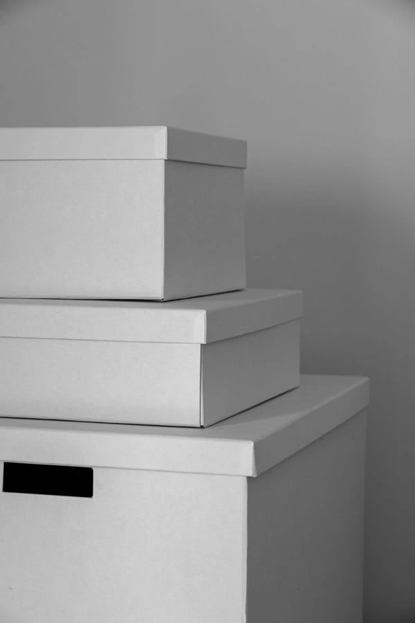Fabric Storage Cubes (Set of 2)