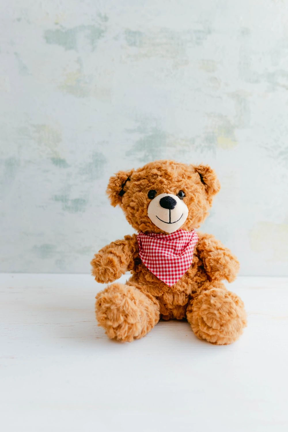 Cuddly Plush Teddy Bear